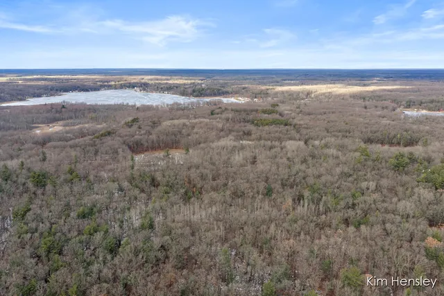$159,900 | V/l West Wood Lake Road, Pierson, MI 49339
