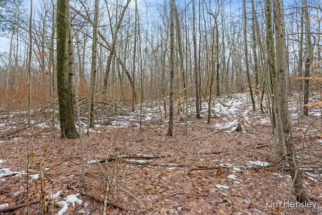 $159,900 | V/l West Wood Lake Road, Pierson, MI 49339