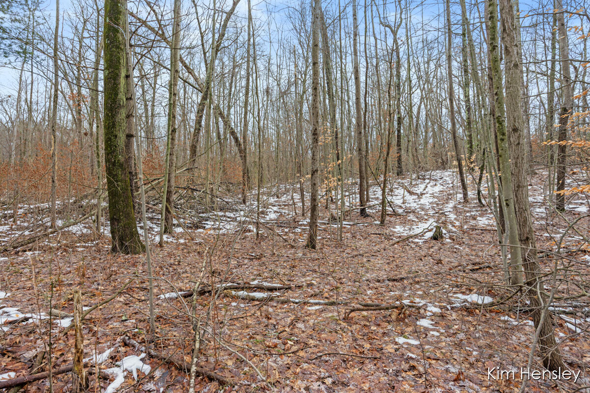 V/l West Wood Lake Road Pierson, MI 49339 - Photo 2 of 24 IMG_1001