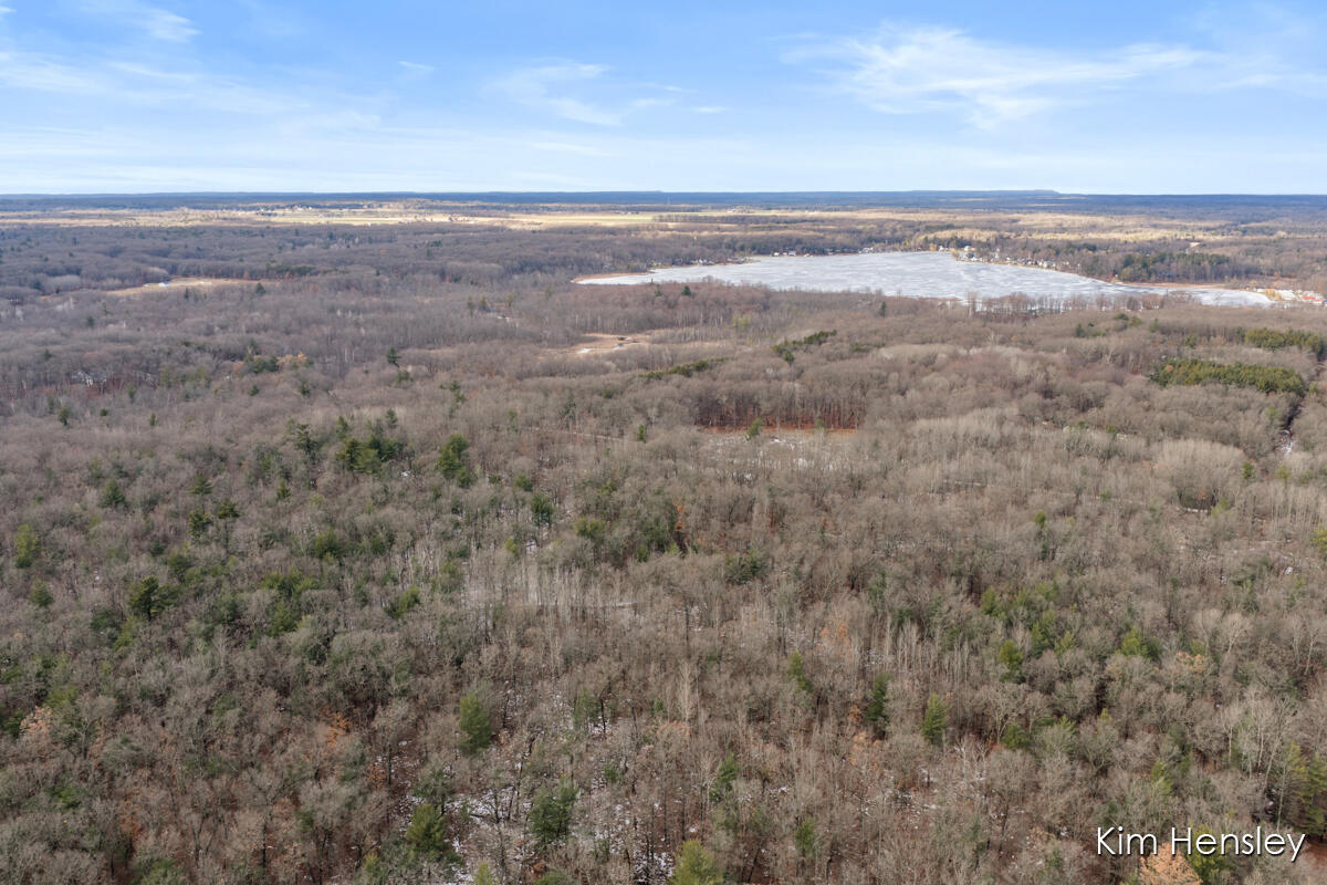 V/l West Wood Lake Road Pierson, MI 49339 - Photo 21 of 24 IMG_1020