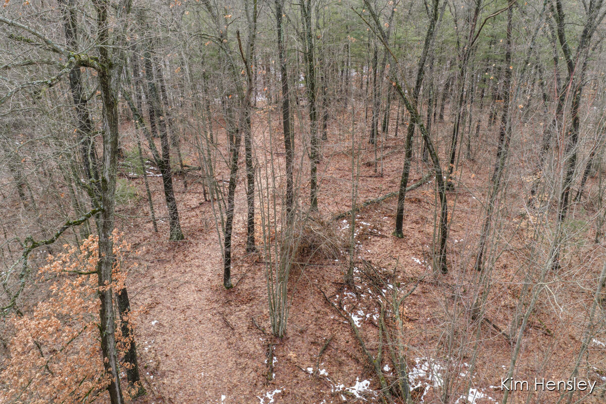 V/l West Wood Lake Road Pierson, MI 49339 - Photo 22 of 24 IMG_1021