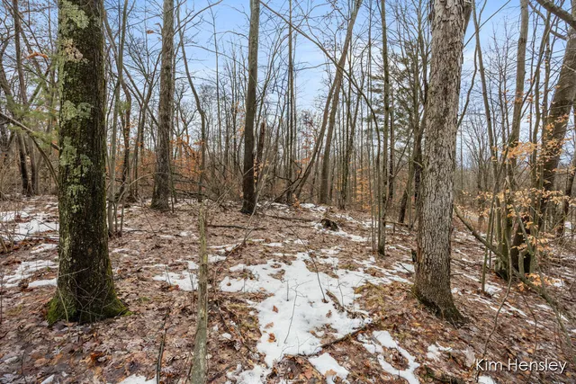 $159,900 | V/l West Wood Lake Road, Pierson, MI 49339