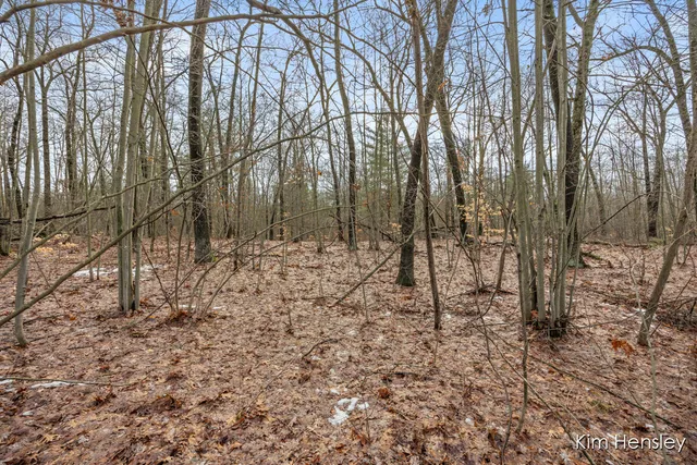 $159,900 | V/l West Wood Lake Road, Pierson, MI 49339