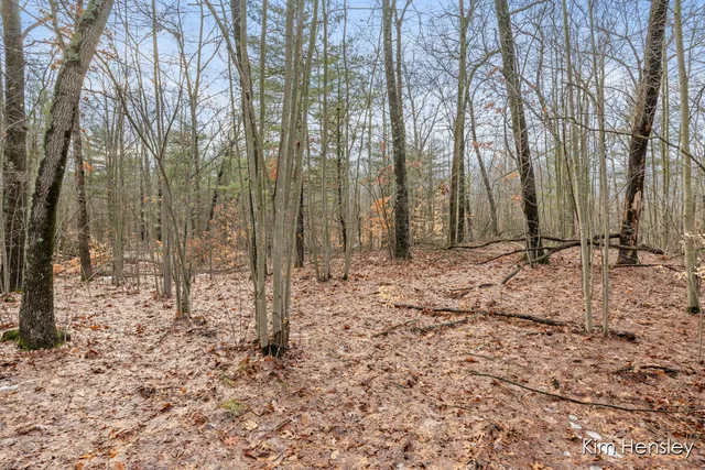 $159,900 | V/l West Wood Lake Road, Pierson, MI 49339