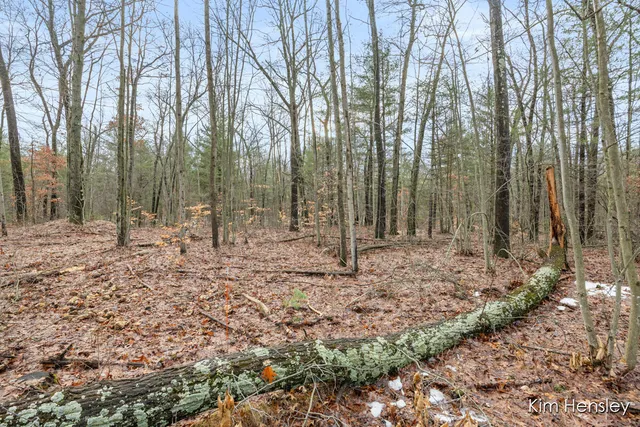 $159,900 | V/l West Wood Lake Road, Pierson, MI 49339