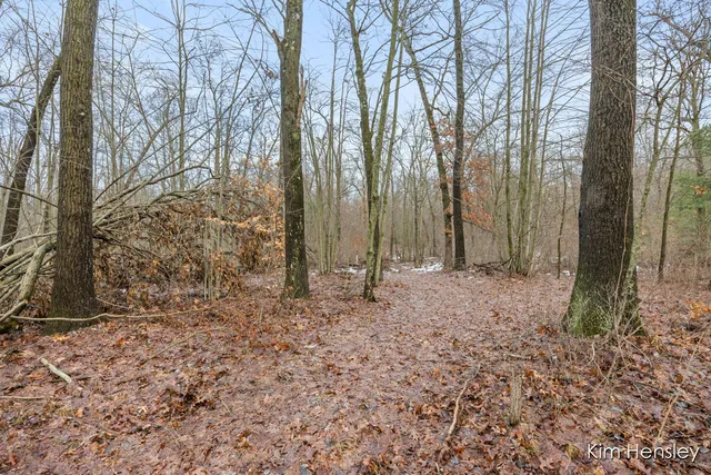 $159,900 | V/l West Wood Lake Road, Pierson, MI 49339