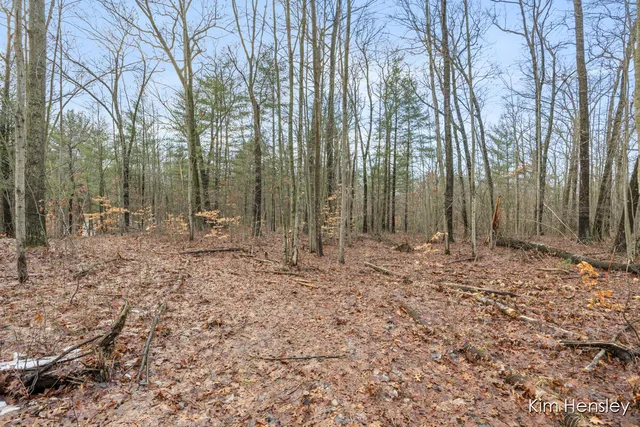 $159,900 | V/l West Wood Lake Road, Pierson, MI 49339