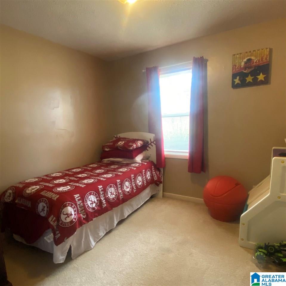 60 Payne Road Empire, AL 35063 - Photo 10 of 17