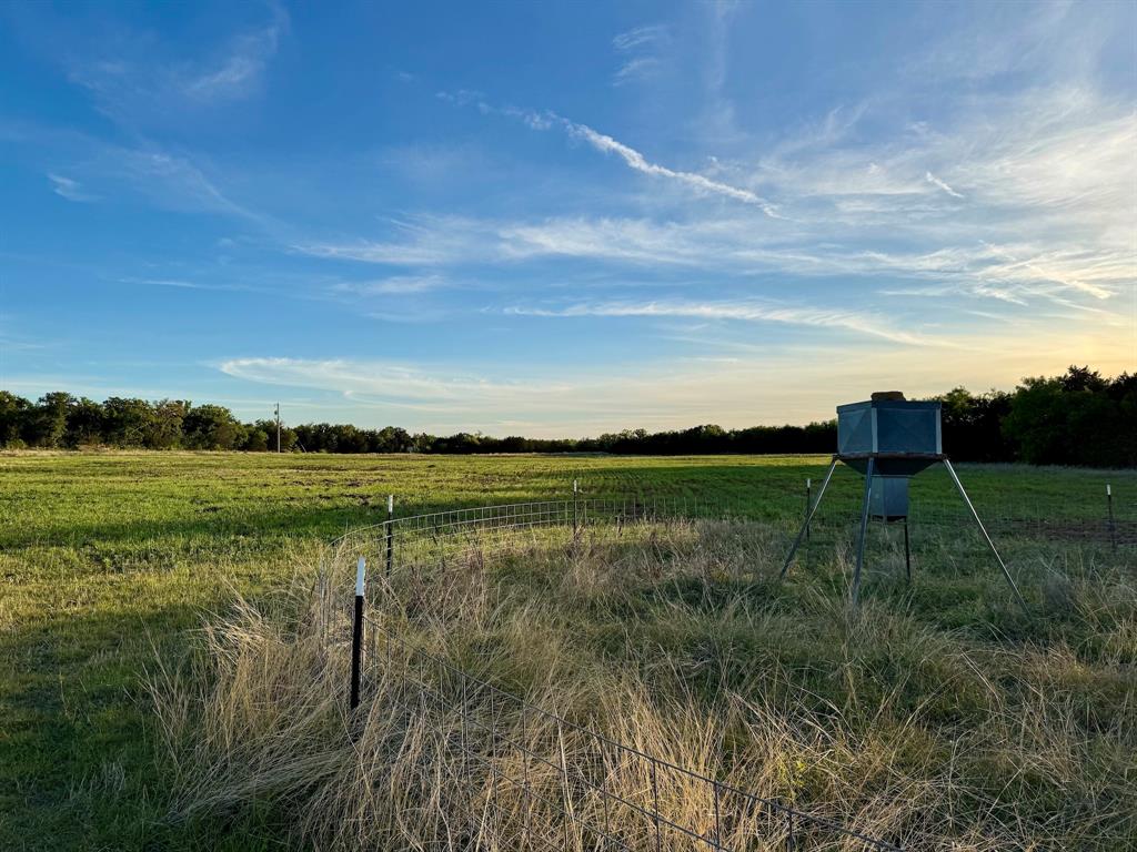 16811 County Road 107 Mingus, TX 76463 - Photo 17 of 38 a view of a lake with a yard