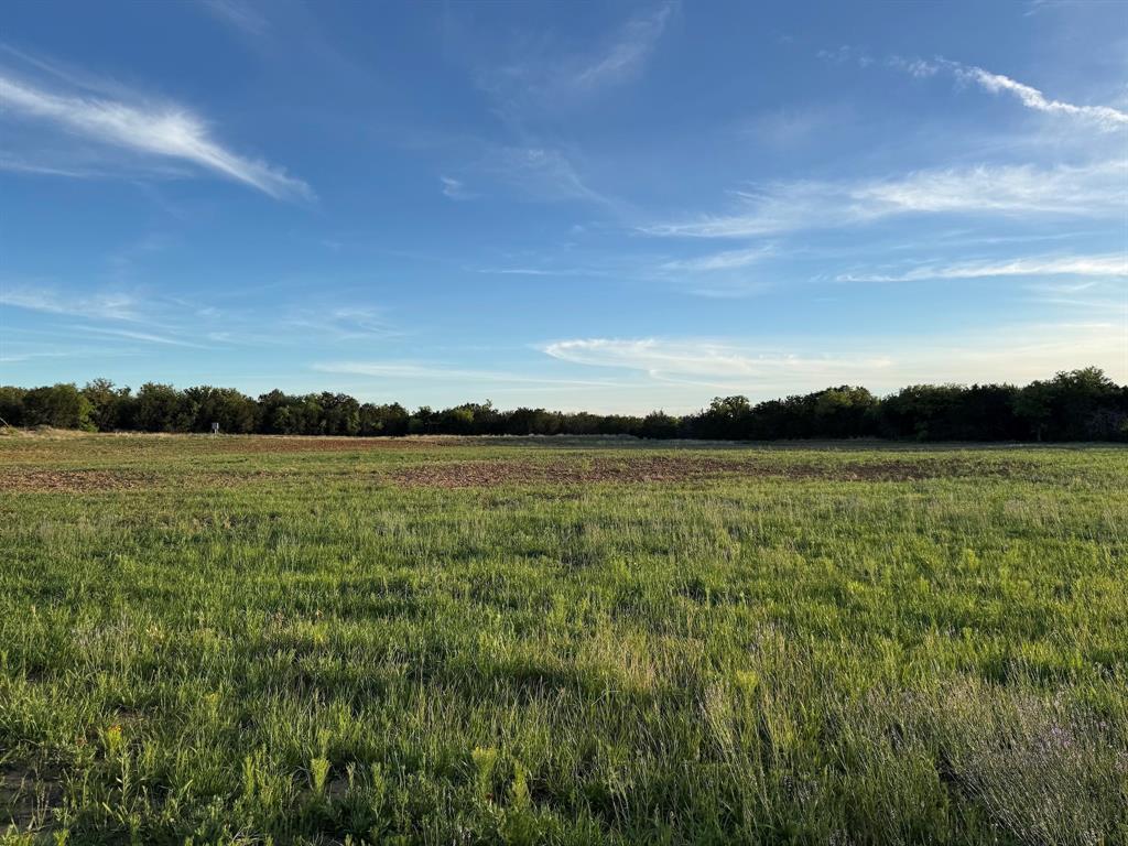 16811 County Road 107 Mingus, TX 76463 - Photo 18 of 38 a view of lake with green space