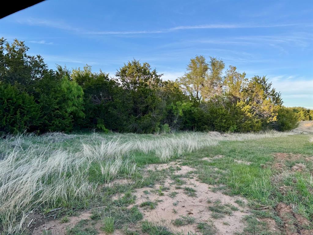 16811 County Road 107 Mingus, TX 76463 - Photo 19 of 38 a view of a yard with a tree