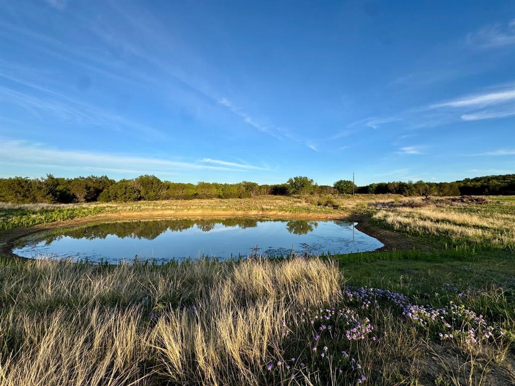 16811 County Road 107 Mingus, TX 76463 - Photo 20 of 38 a view of lake with green space