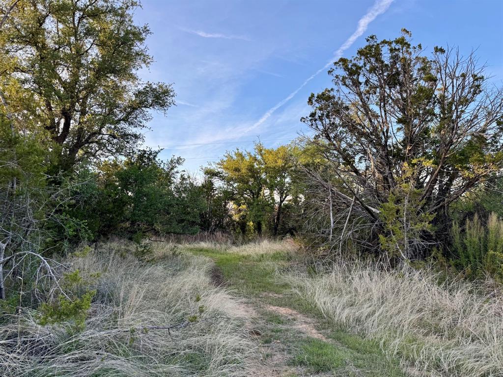 16811 County Road 107 Mingus, TX 76463 - Photo 21 of 38 a big yard with lots of green space and trees
