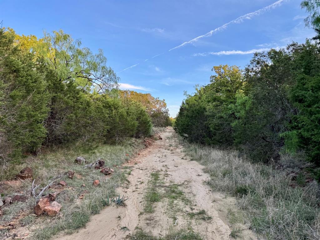 16811 County Road 107 Mingus, TX 76463 - Photo 24 of 38 a view of a yard with a tree
