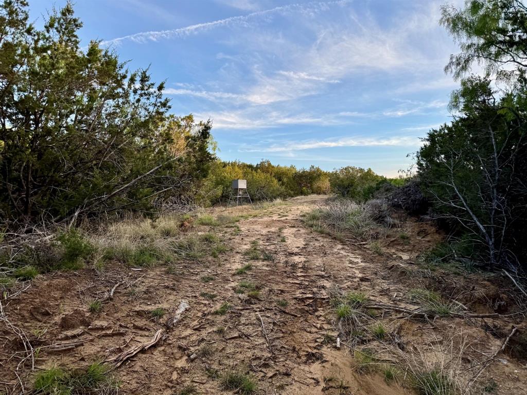 16811 County Road 107 Mingus, TX 76463 - Photo 25 of 38 a view of mountain view with lots of trees around
