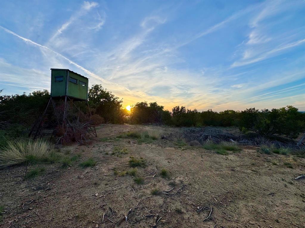 16811 County Road 107 Mingus, TX 76463 - Photo 26 of 38 a view of a yard