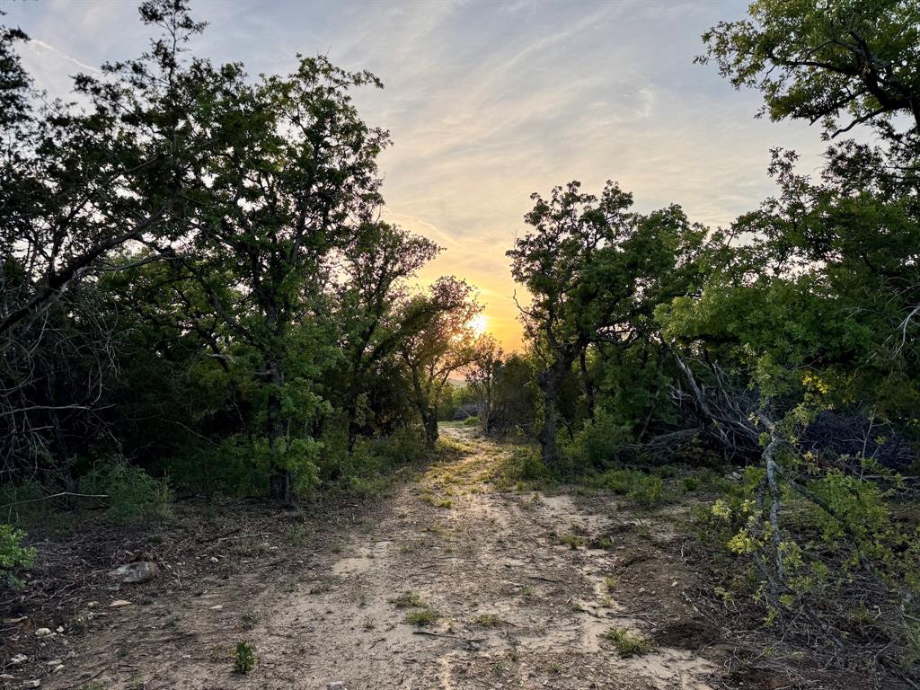 16811 County Road 107 Mingus, TX 76463 - Photo 28 of 38 a view of a forest with trees in the background