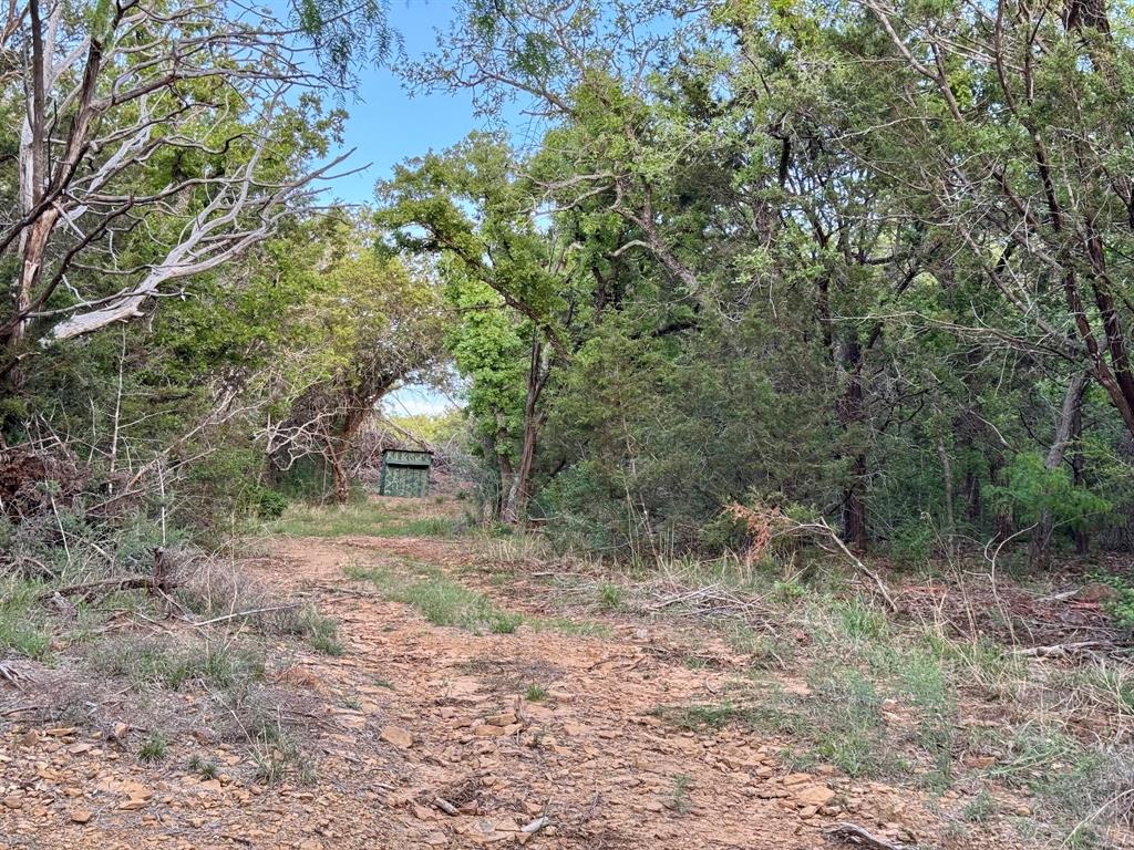 16811 County Road 107 Mingus, TX 76463 - Photo 32 of 38 a view of a yard with a tree