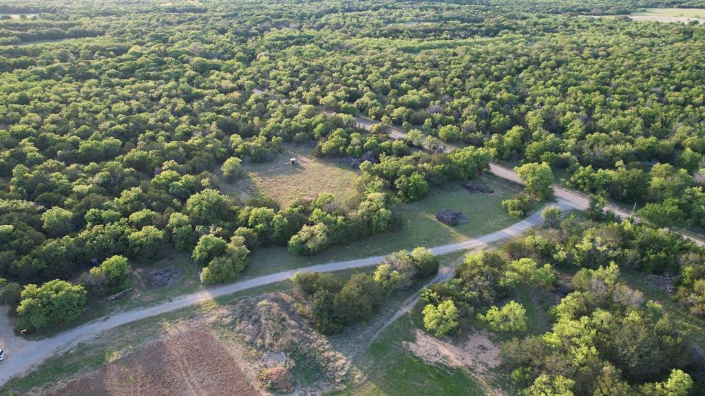 16811 County Road 107 Mingus, TX 76463 - Photo 5 of 38 a view of a garden with a lake view