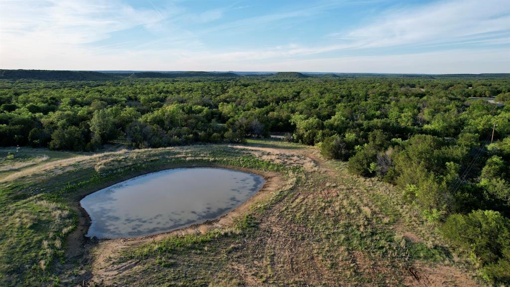 16811 County Road 107 Mingus, TX 76463 - Photo 8 of 38