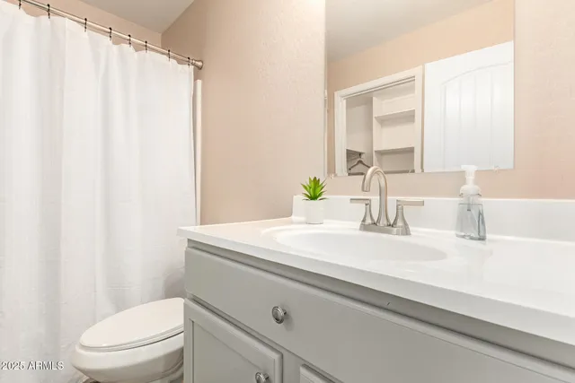 a bathroom with a sink a toilet and shower curtain
