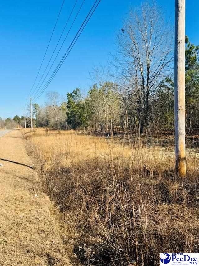 Old Wire Road West Bennettsville, SC 29512 - Photo 3 of 5 Gallery Image 3