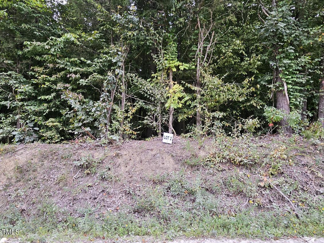 Lot 2 Doll Branch Road Milton, NC 27305 - Photo 1 of 9 Lot 2a