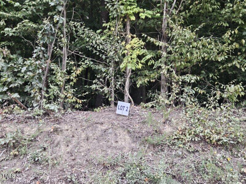 Lot 2 Doll Branch Road Milton, NC 27305 - Photo 2 of 9 Lot 2