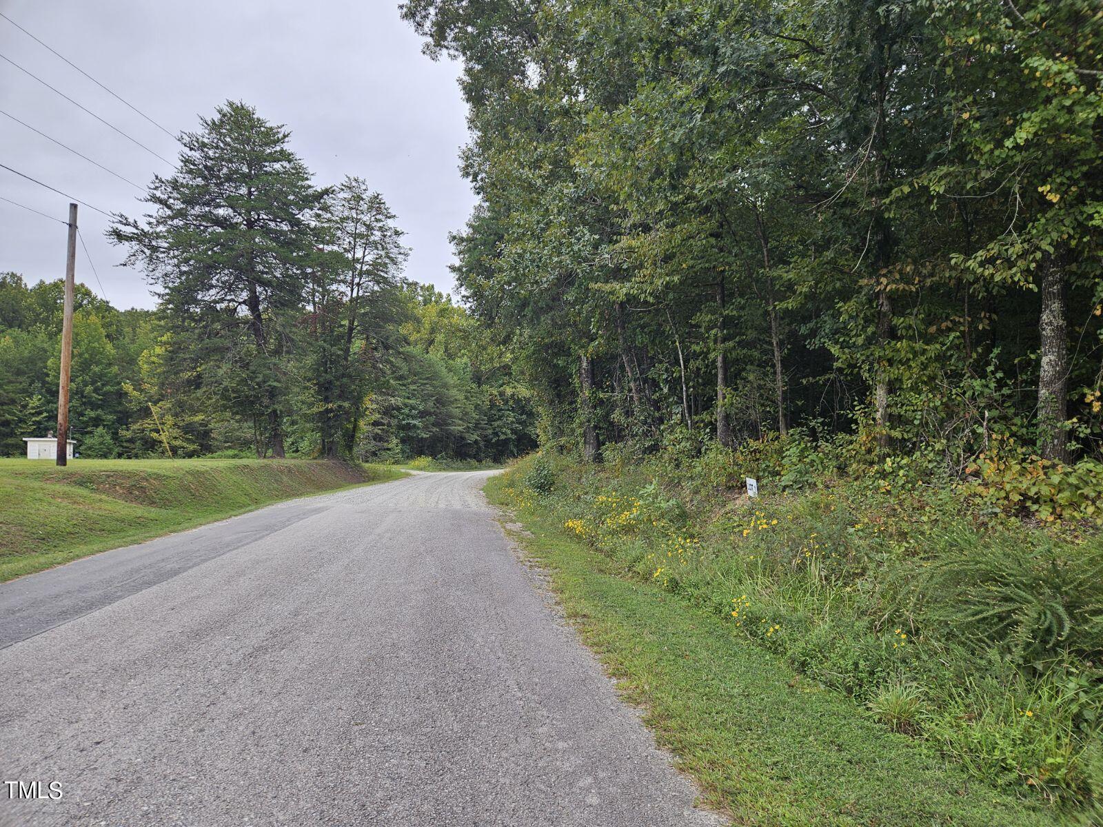 Lot 2 Doll Branch Road Milton, NC 27305 - Photo 4 of 9 75431