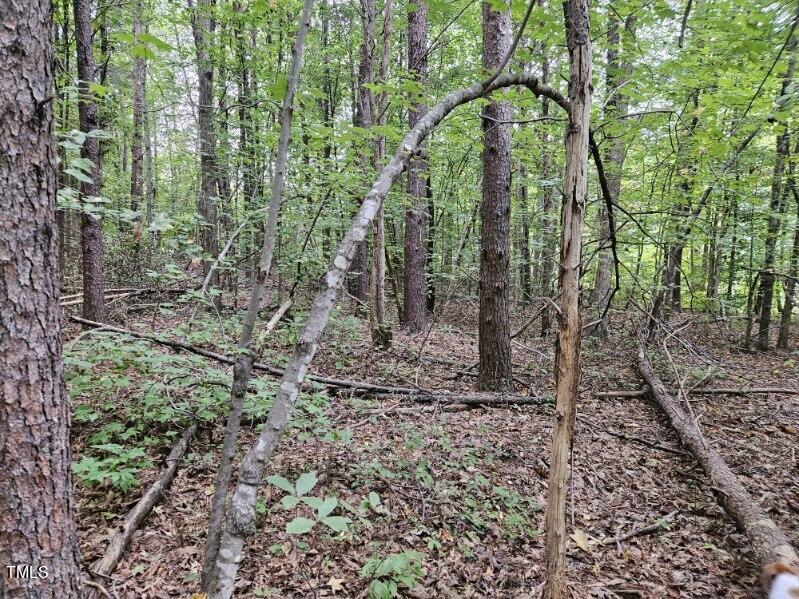 Lot 2 Doll Branch Road Milton, NC 27305 - Photo 5 of 9 75420