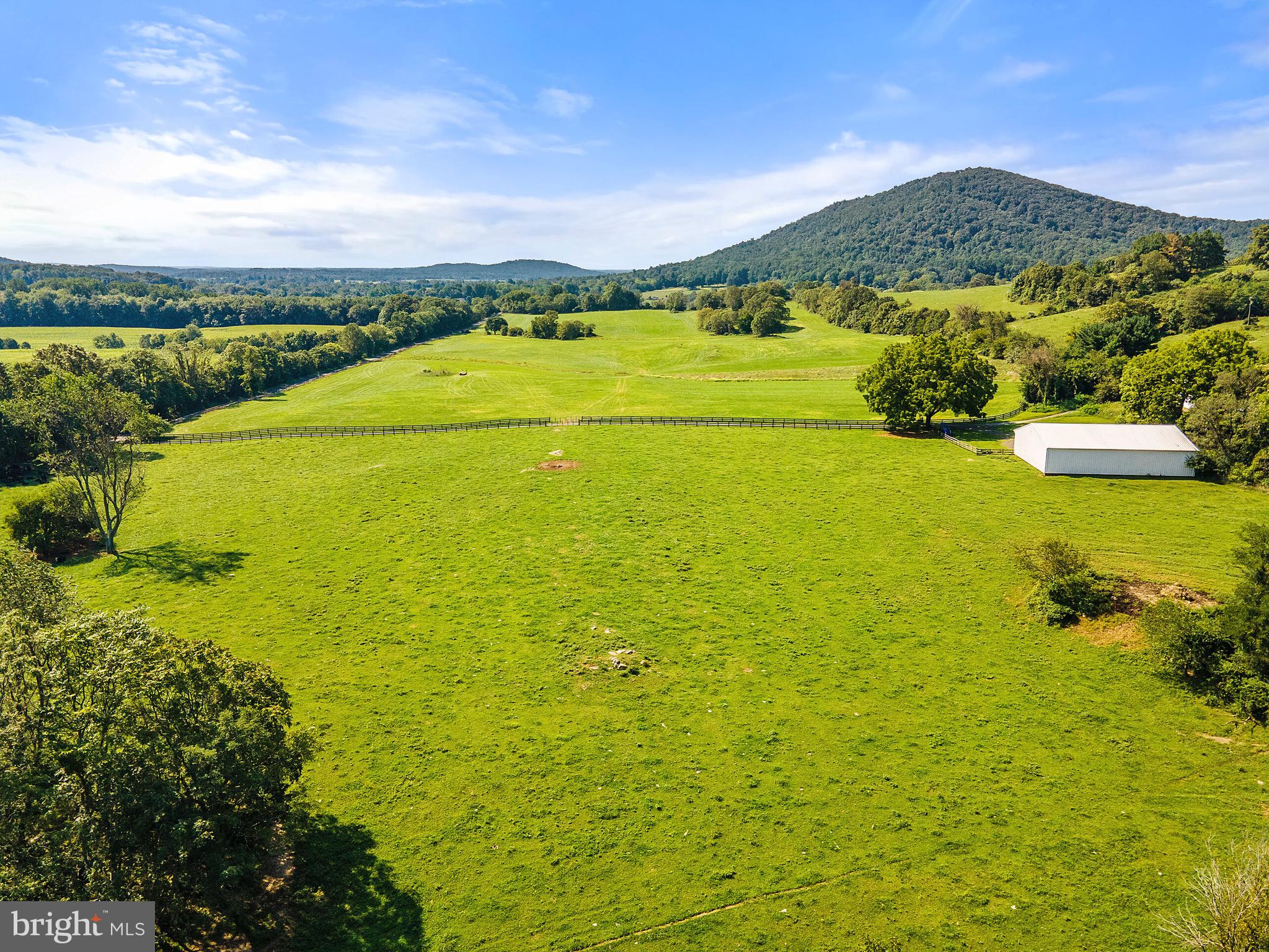 10342 Moreland Road Delaplane, VA 20144 - Photo 4 of 59 Open fields currently in cattle