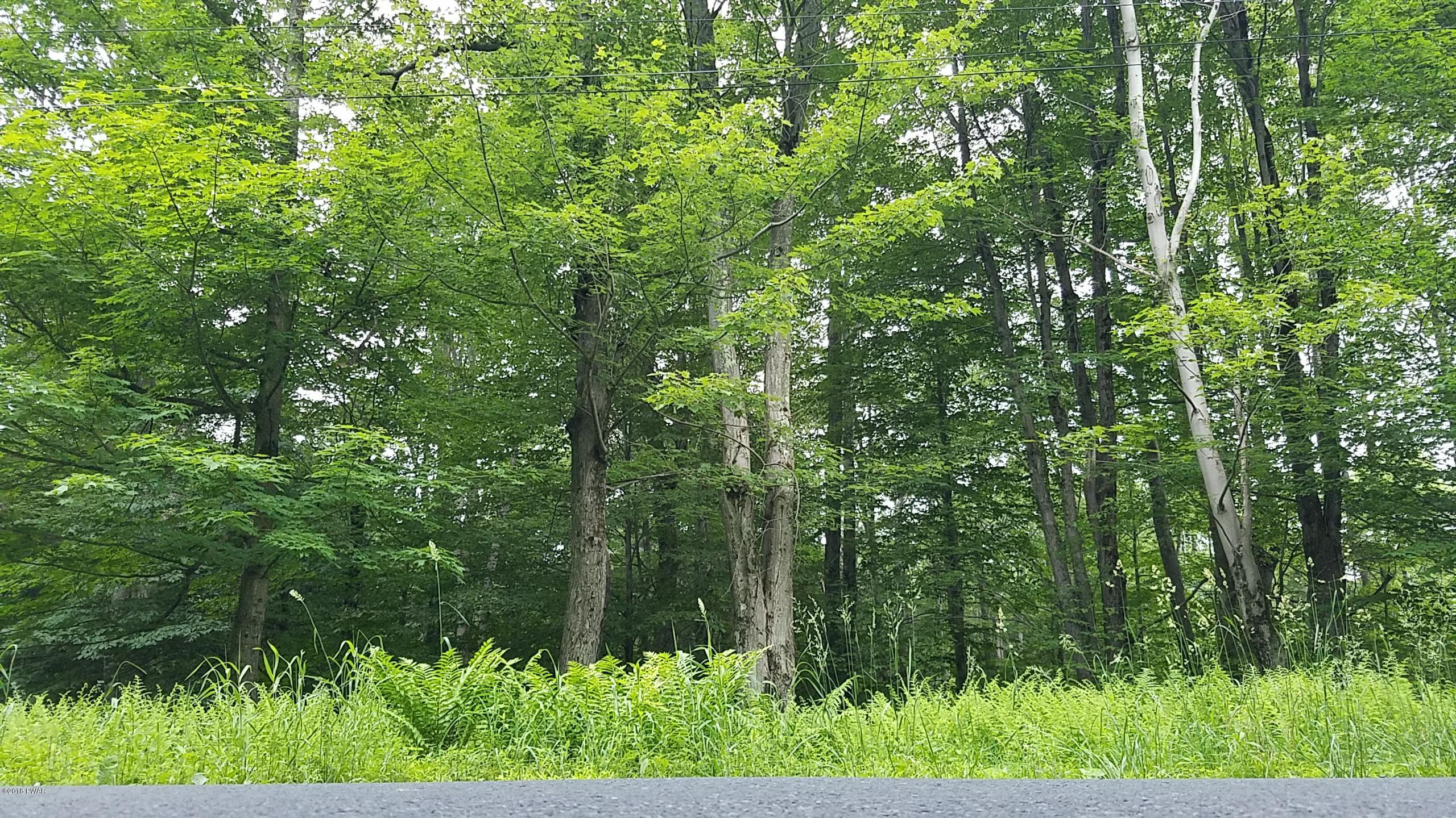 Lot 303 Sawmill Road Lake Ariel, PA 18436 - Photo 4 of 8