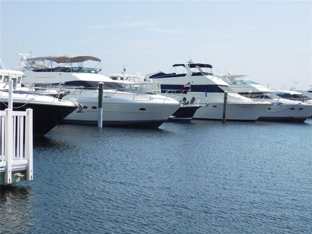 102 Riviera Dunes Way, Unit S41 Palmetto, FL 34221 - Photo 29 of 57