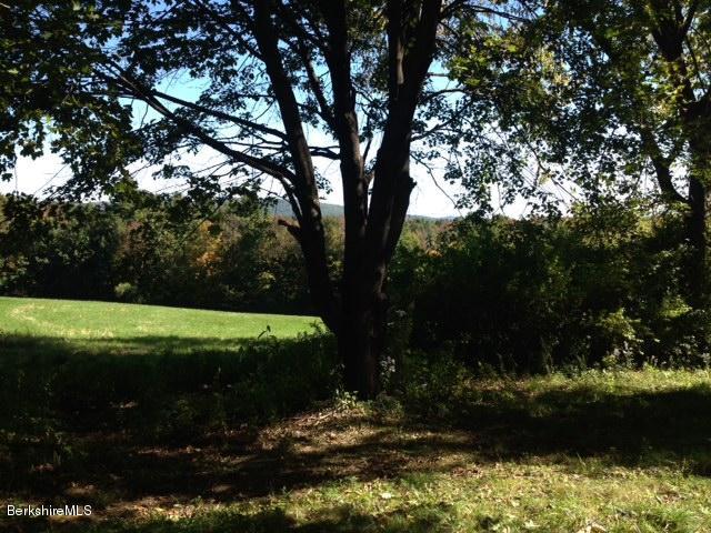 374 W Road Lee, MA 01238 - Photo 10 of 15 a view of a garden with a tree