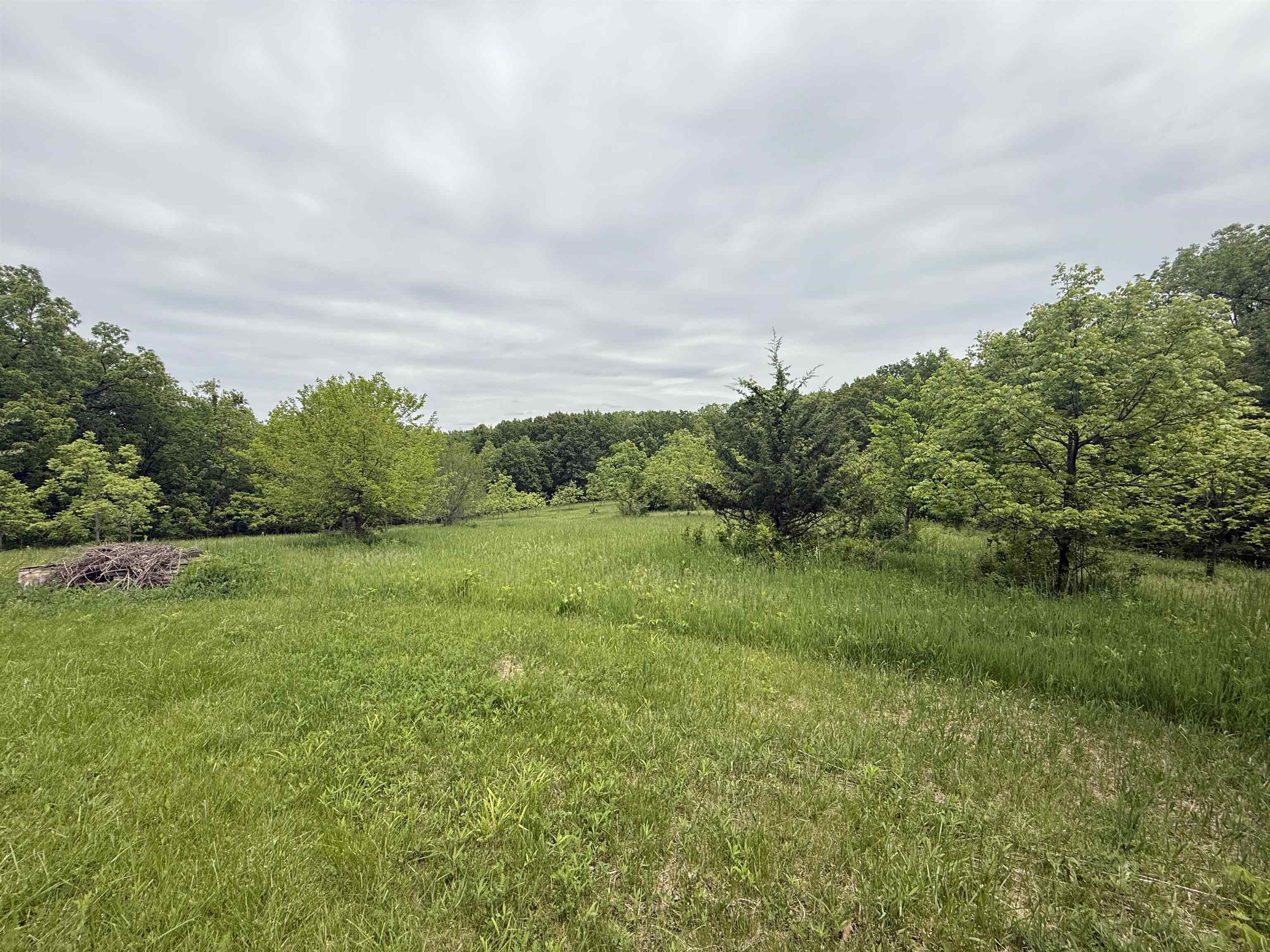 5140 Highway 20 Galena, IL 61036 - Photo 38 of 38 a view of a grassy field with trees