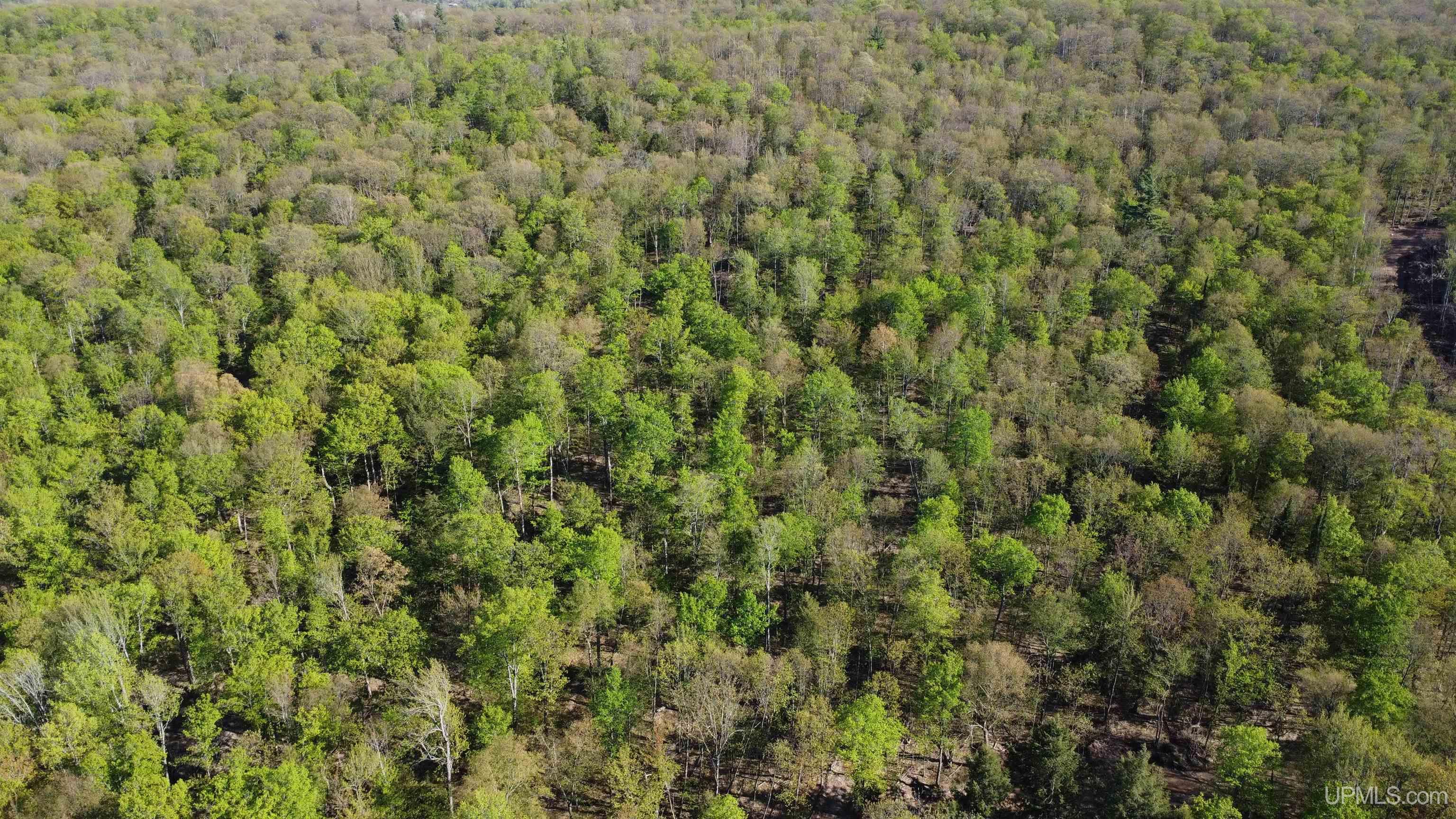 Off Off Hoist Road Negaunee, MI 49866 - Photo 13 of 45