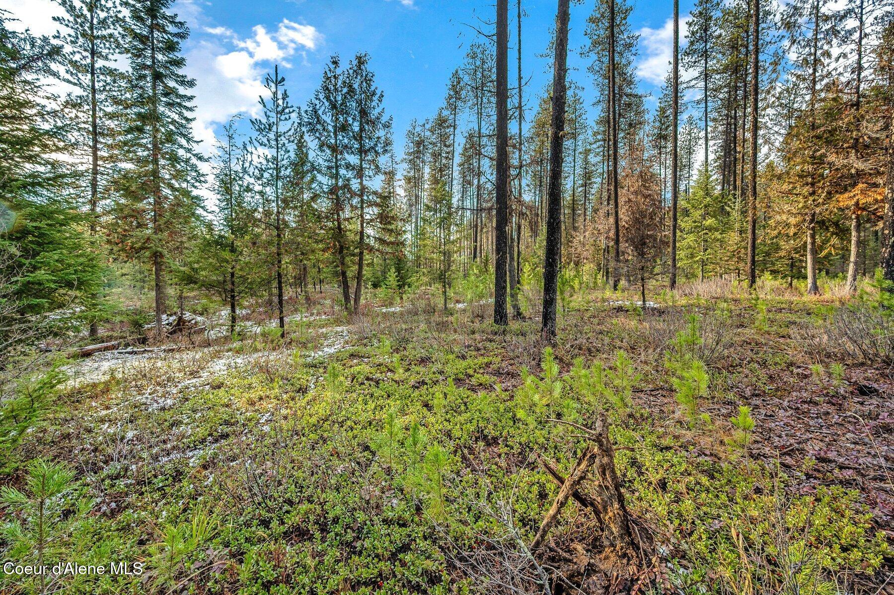 Lot 1 Reeder Bay Road Nordman, ID 83848 - Photo 13 of 26 Open Spaces
