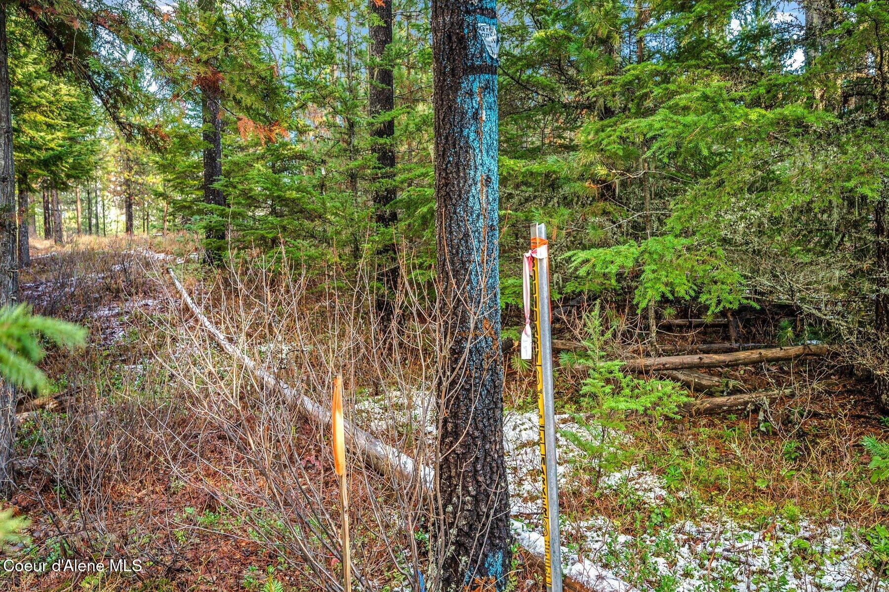 Lot 1 Reeder Bay Road Nordman, ID 83848 - Photo 18 of 26 Survey Markers on Corners