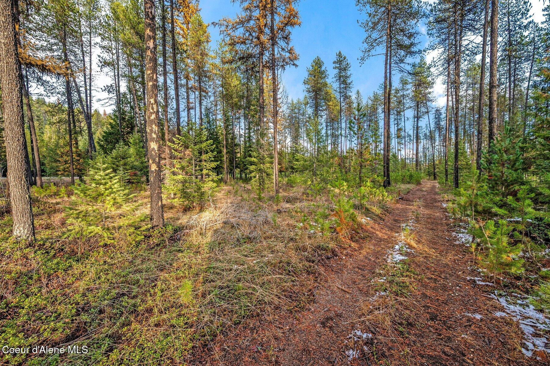 Lot 1 Reeder Bay Road Nordman, ID 83848 - Photo 6 of 26 Trails