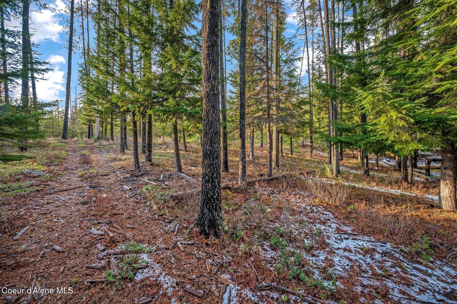 Lot 1 Reeder Bay Road Nordman, ID 83848 - Photo 7 of 26 Cleared Trees