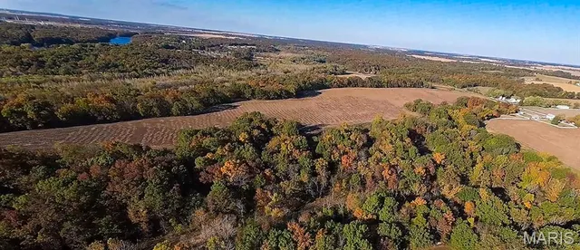 $1,300,000 | Tbd Red Ball Trail, Coffeen, IL 62017