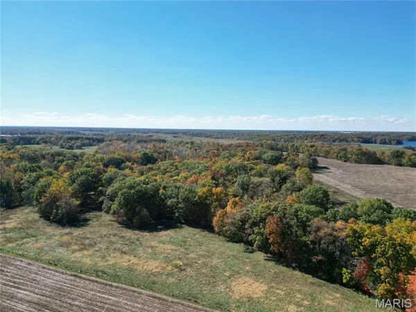$1,250,000 | Tbd Red Ball Trail, Coffeen, IL 62017