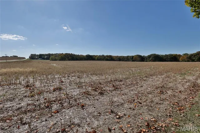 $1,407,600 | Tbd Red Ball Trail, Coffeen, IL 62017