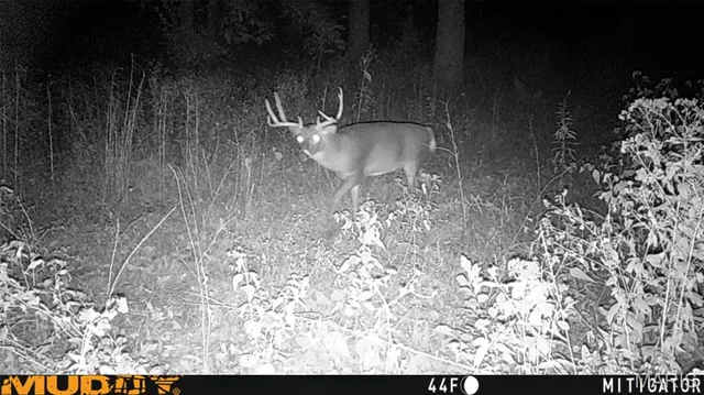 $1,407,600 | Tbd Red Ball Trail, Coffeen, IL 62017