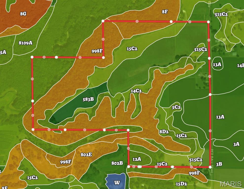 Tbd Red Ball Trail Coffeen, IL 62017 - Photo 72 of 74