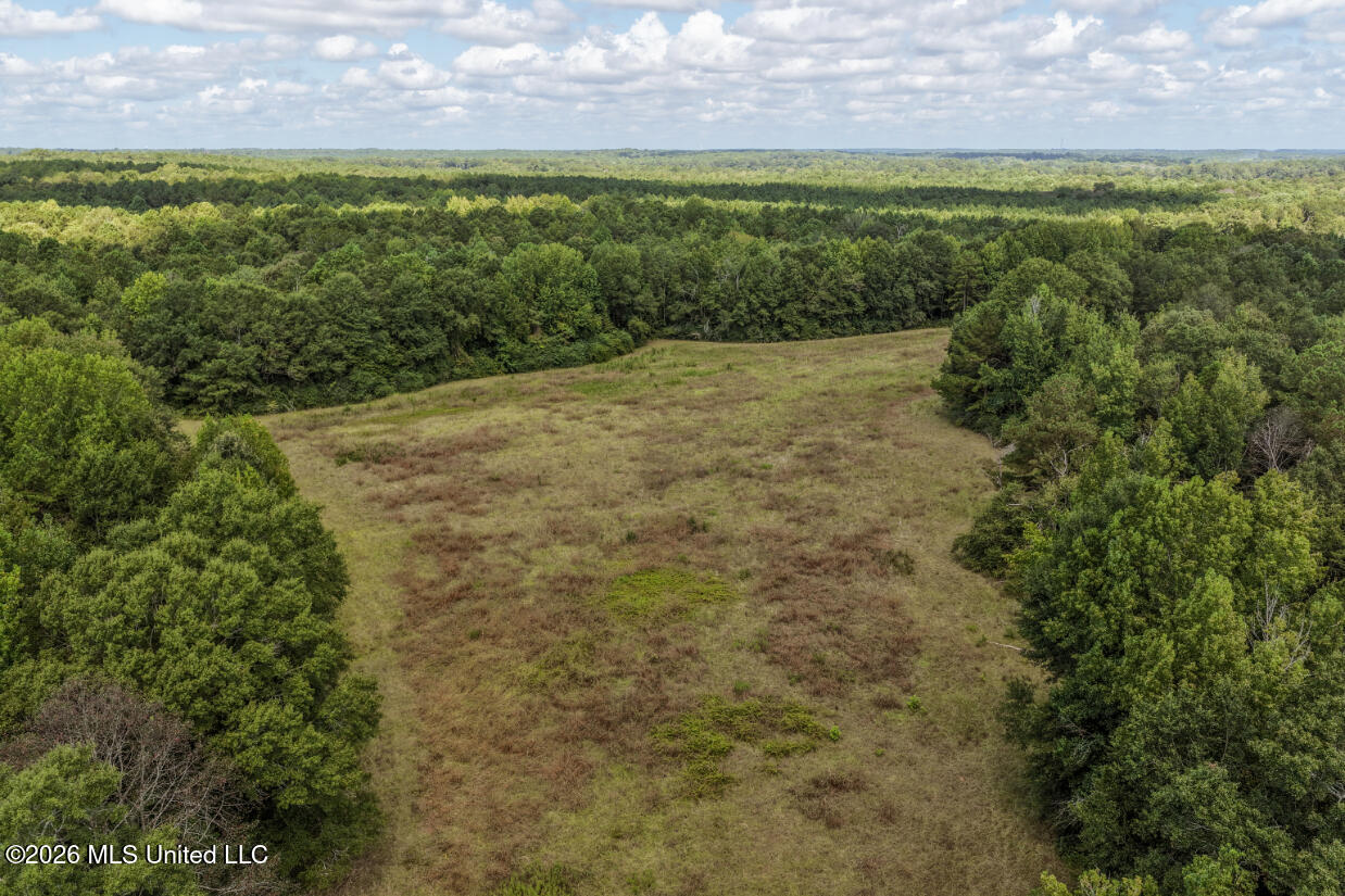 Craft Road Magee, MS 39111 - Photo 16 of 39 DJI_20260813110123_0585_D
