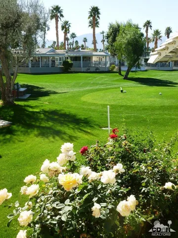 a green field with lots of flowers