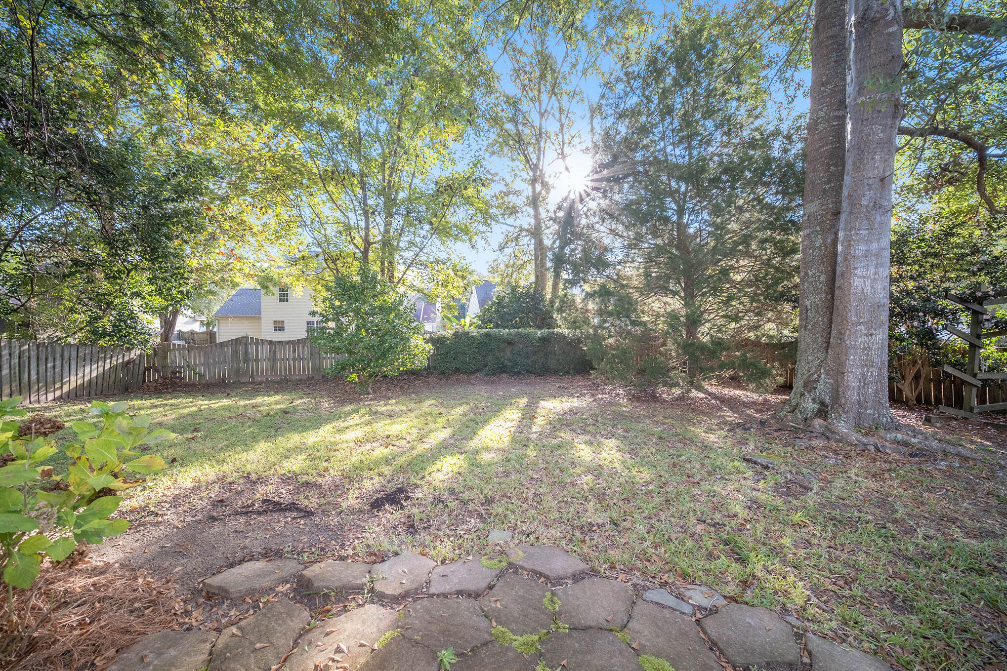 3258 Tabor Road Mount Pleasant, SC 29466 - Photo 22 of 24 Backyard