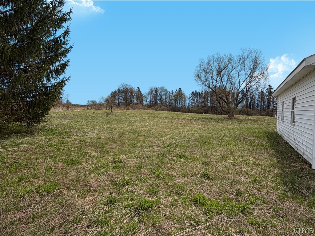 696 Russia Road Poland, NY 13431 - Photo 8 of 14