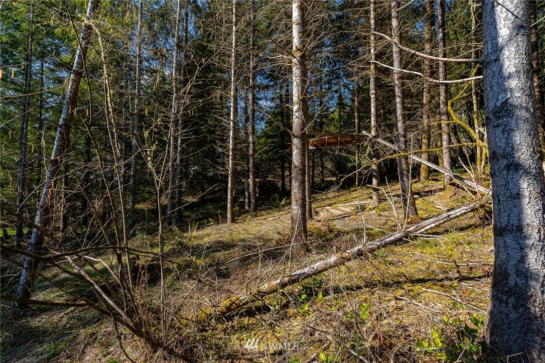 505 Haywire Road Winlock, WA 98596 - Photo 6 of 37